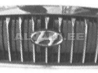 Hyundai Sonata (EF) 1998-2005 РЕШЕТКА РЕШЁТКА для HYUNDAI SONATA (EF) Сторона: С обеи...