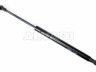 BMW 3 (E90 / E91 / E92 / E93) 2005-2013 АМОРТИЗАТОР КАПОТА/БАГАЖНИКА АМОРТИЗАТОР КАПОТА/БАГАЖНИКА для BMW 3 (E90/E91...
