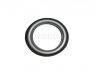 Mitsubishi L200 2006-2015 РАМКА ПРОТИВОТУМАННОЙ ФАРЫ РАМКА ПРОТИВОТУМАННОЙ ФАРЫ для MITSUBISHI L200/...